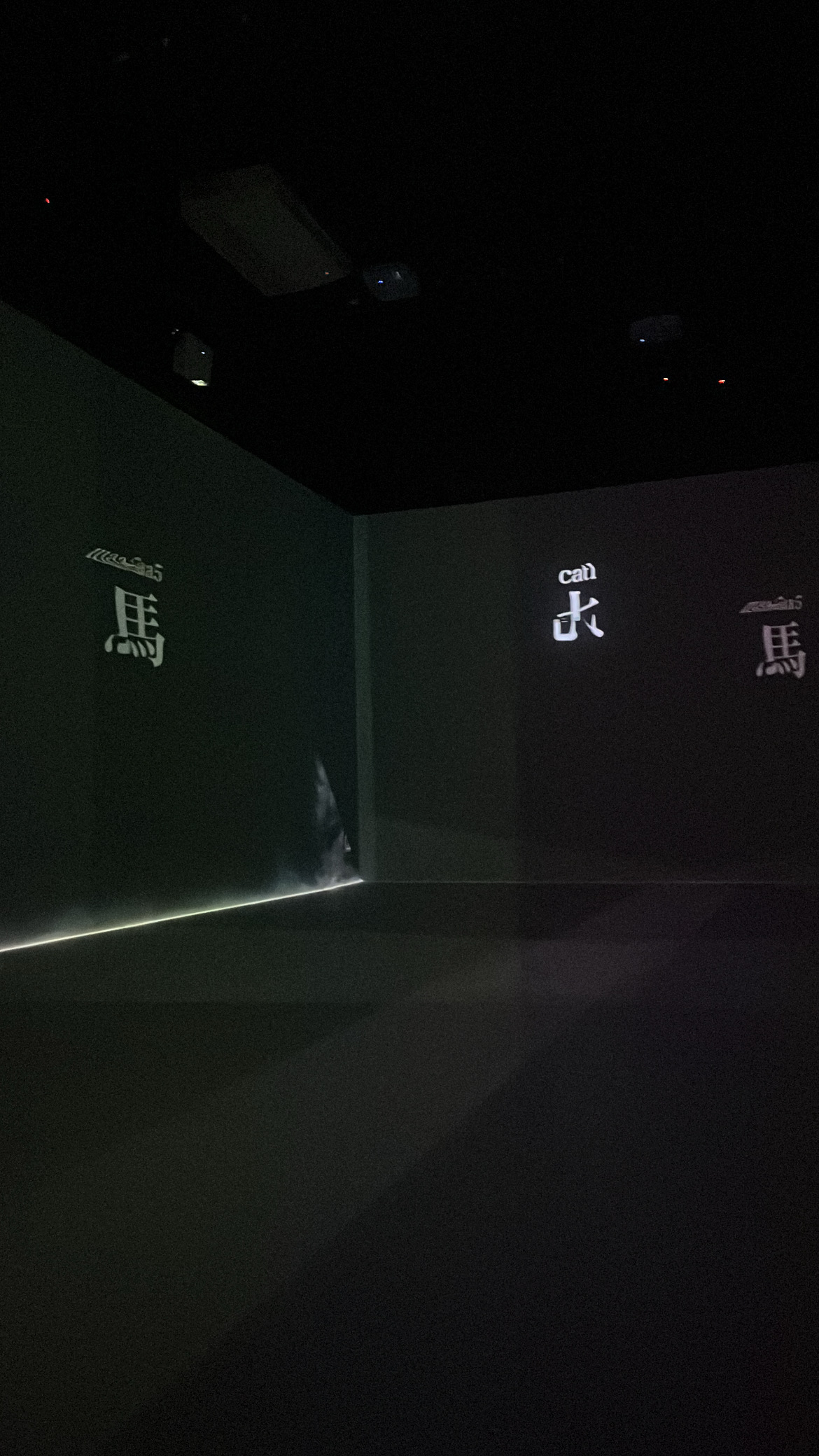 Envisage - Cantoplay: Art Meets Language (2025)